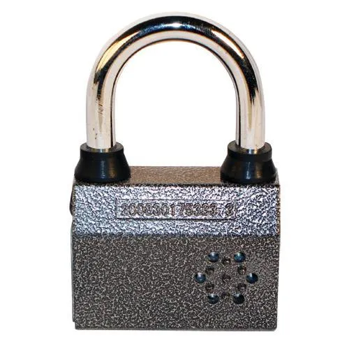 Alarmed Padlock