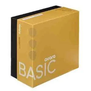 Avara Basic Alarm System 30000