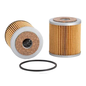 Ryco Oil Filter  R2108P